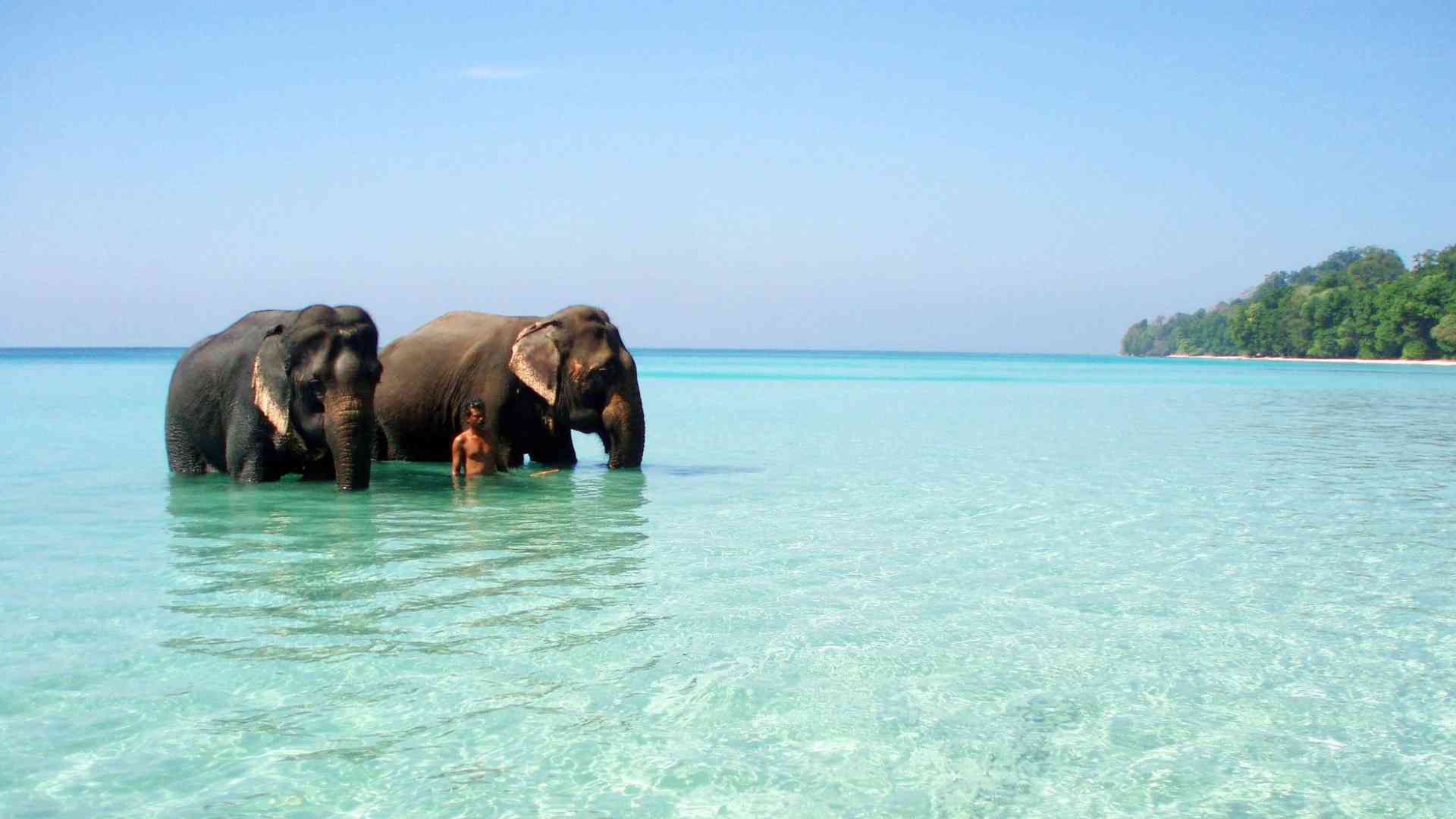 Andaman Budget Package